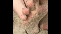 Arousing Sandy Feet