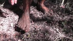 Molly Bare Feet In Mud