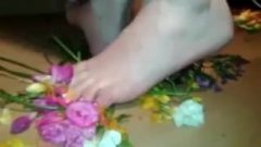 Unbelievable Feet Crushing Flowers 2