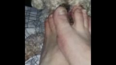 Toes Licked By Poodle Dog