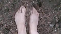 Bare Feet Playing In Pine Needles, ASMR Muse, SFW
