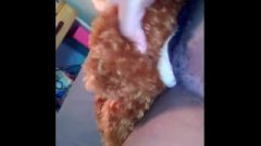 BBW Pillow Humping *sorry Teddy*