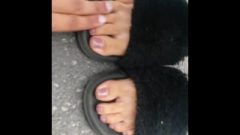 Unknown Chicks Feet And Toes